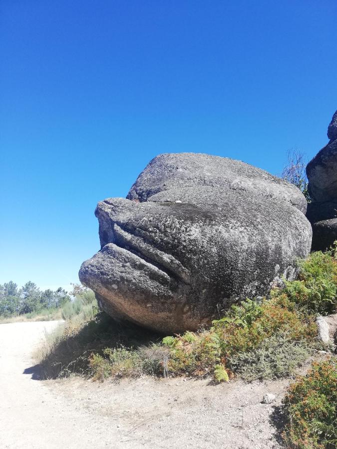 Sambuc'Asa - Serra Da Estrela Сабугейро Екстериор снимка