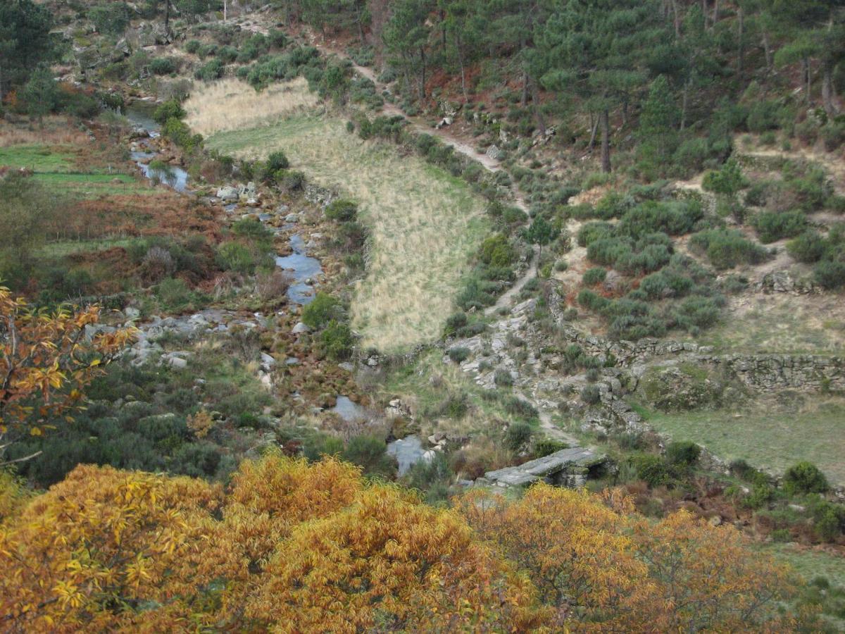 Sambuc'Asa - Serra Da Estrela Сабугейро Екстериор снимка