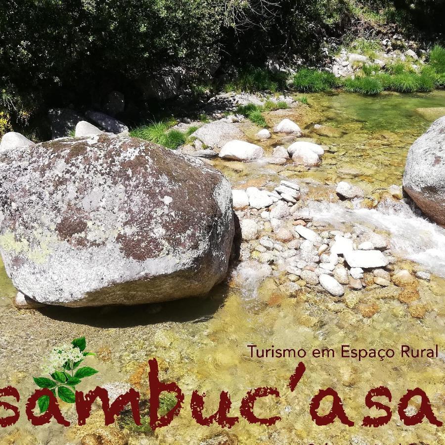 Sambuc'Asa - Serra Da Estrela Сабугейро Екстериор снимка